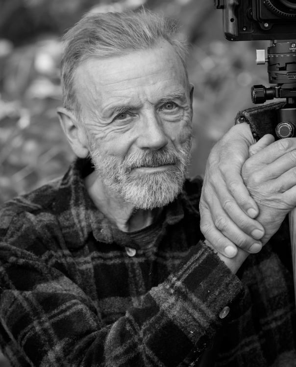 Retrat de Joe Cornish